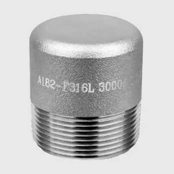 ASME B16.11 گول ہیڈ پلگ سائز
